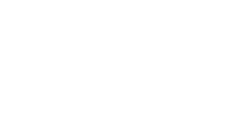 Webdesign Unger